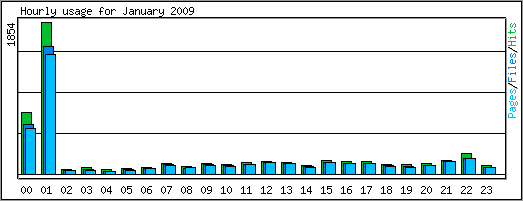 Hourly usage