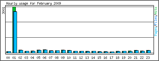 Hourly usage