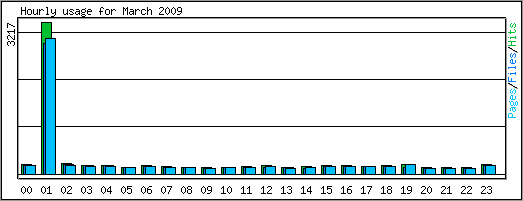 Hourly usage