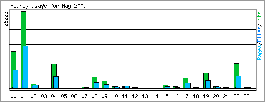 Hourly usage