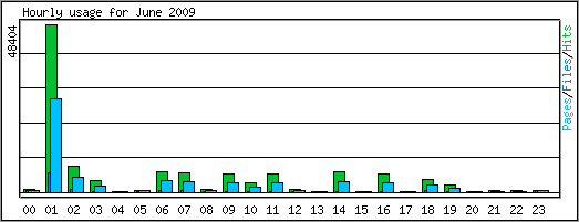 Hourly usage