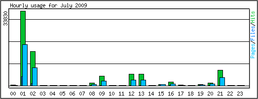 Hourly usage