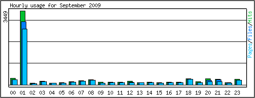 Hourly usage