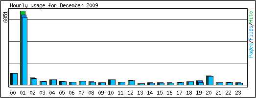 Hourly usage