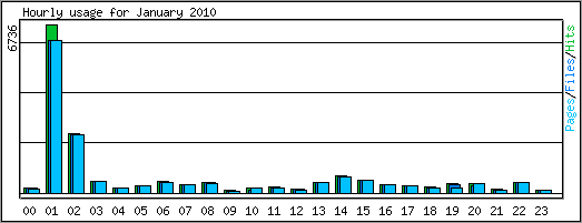 Hourly usage