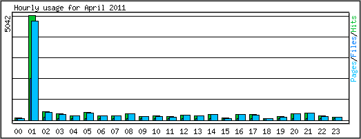 Hourly usage
