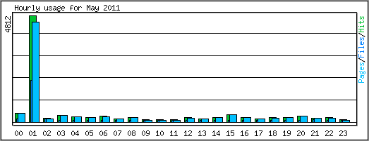 Hourly usage