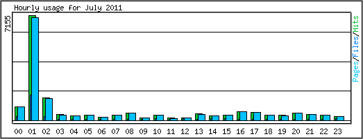 Hourly usage