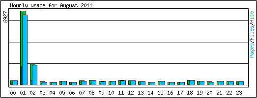 Hourly usage
