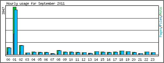 Hourly usage