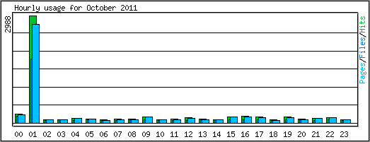 Hourly usage