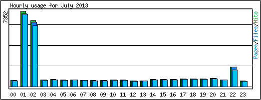 Hourly usage