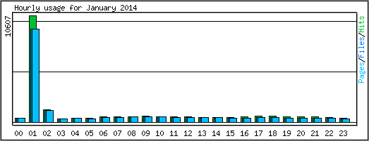 Hourly usage