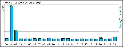 Hourly usage