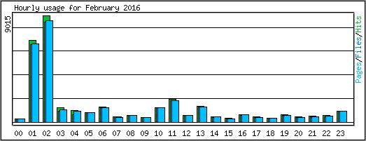 Hourly usage