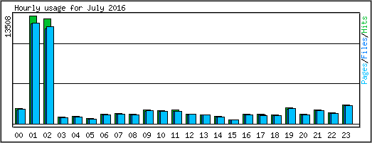 Hourly usage