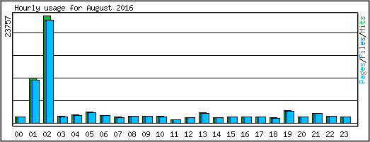 Hourly usage