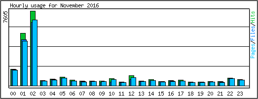 Hourly usage