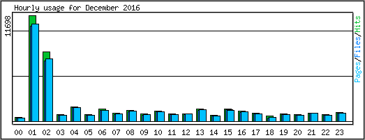 Hourly usage