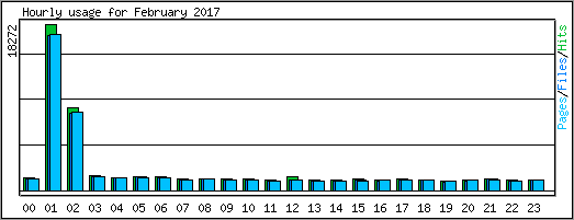 Hourly usage