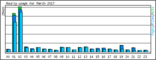 Hourly usage