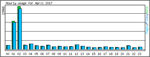 Hourly usage