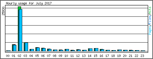 Hourly usage