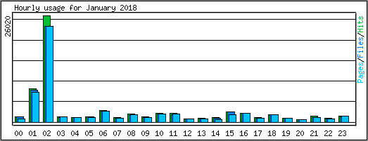 Hourly usage