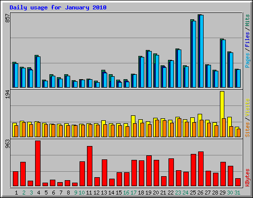 Daily usage for January 2010