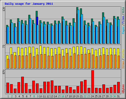 Daily usage for January 2011