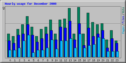 Hourly usage for December 2008