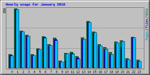 Hourly usage for January 2010