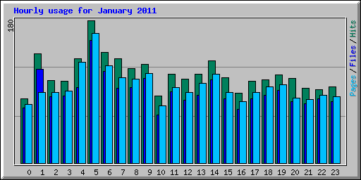 Hourly usage for January 2011