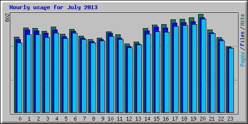 Hourly usage for July 2013